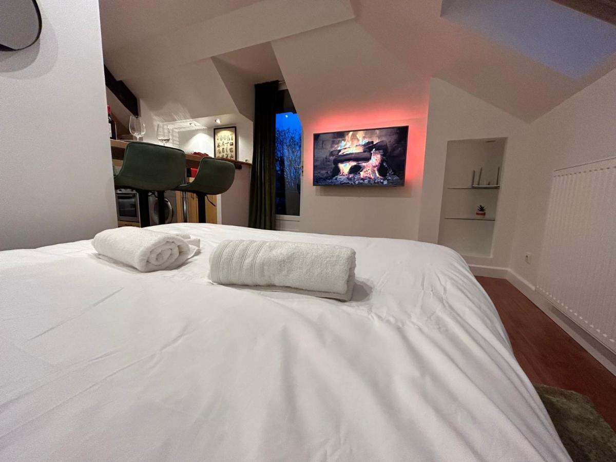 סנליס Rooftop - Cosy Flat Centre Senlis מראה חיצוני תמונה